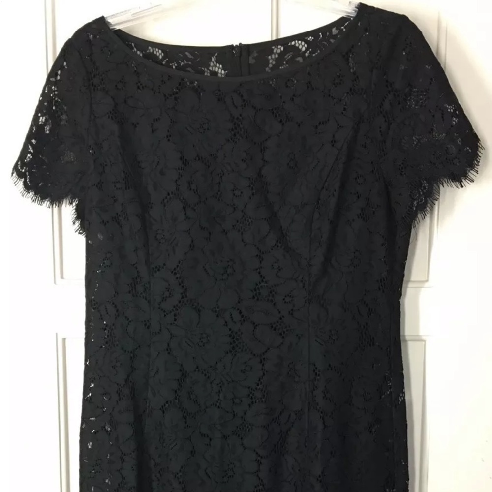 Ann Taylor Tall Lace Sheath Dress Short Sleeve 391029 - Picture 5 of 8